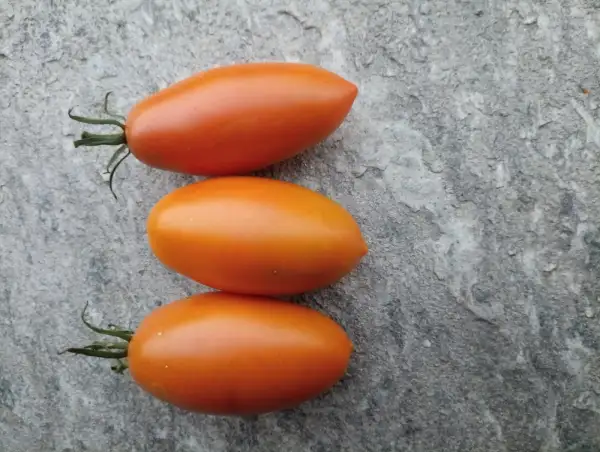 Tomaten: Toffee