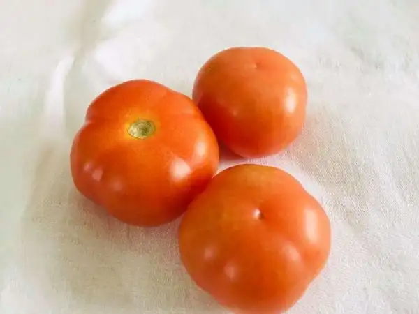 Tomaten: Toggo Treffle