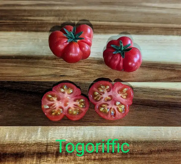 Tomaten: Togoriffic