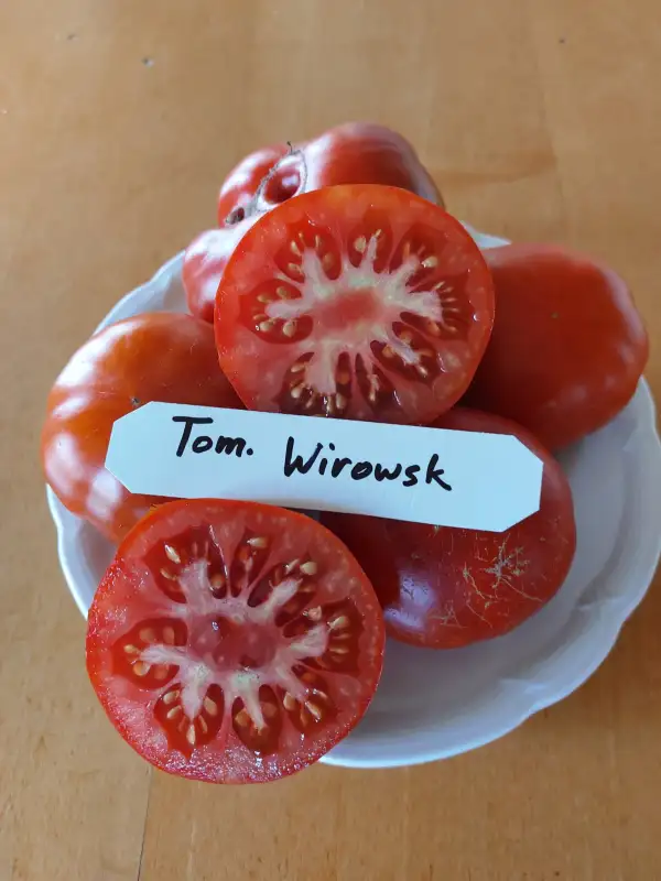 Tomaten: Tom.Wirowsk