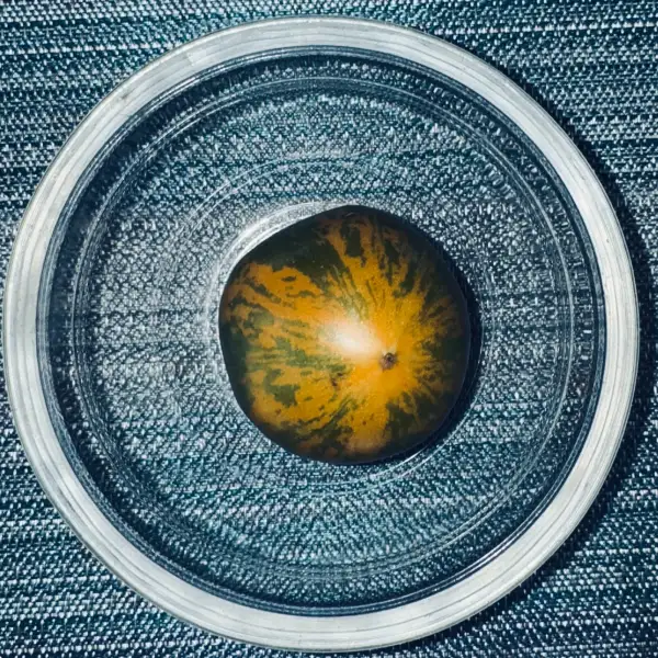 Tomaten: Tomate Babylon`s Glow