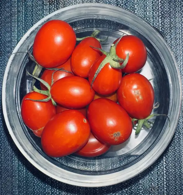 Tomaten: Tomate Baselbieter Röteli