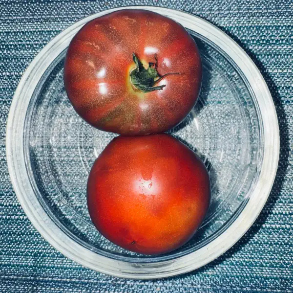 Tomaten: Tomate Boronia Dwarf