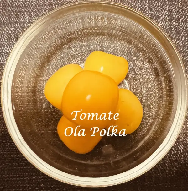 Tomaten: Tomate Ola Polka