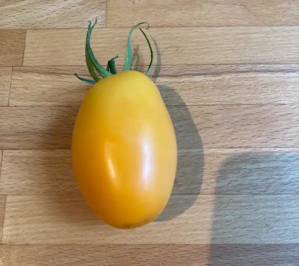 Tomaten: Tomate Orange Banana