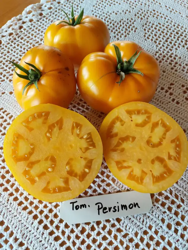 Tomaten: Tomate Persimon