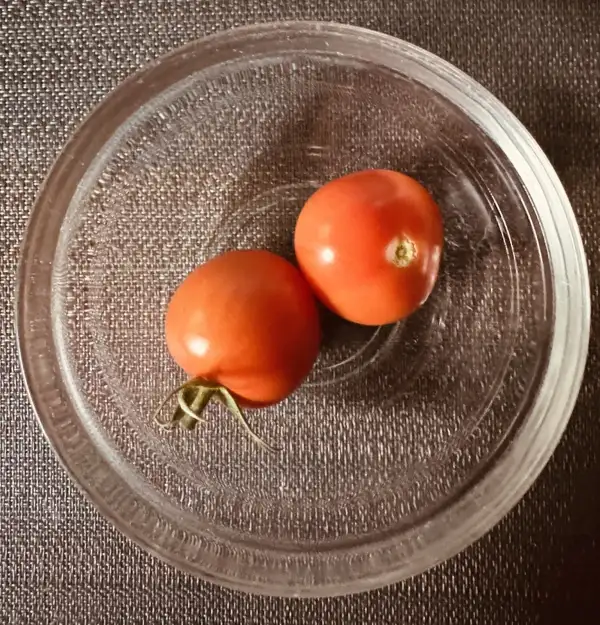 Tomaten: Tomate Praleska