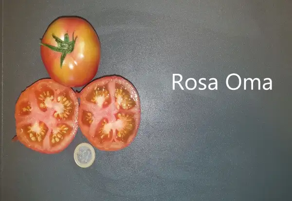 Tomaten: Tomate Rosa Oma