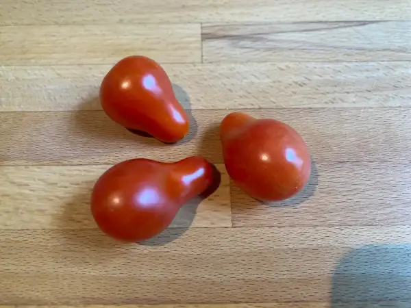 Tomaten: Tomate Sibirisches Birnchen