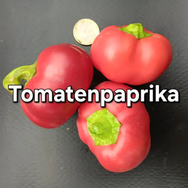 Chili / Paprika: Tomatenpaprika