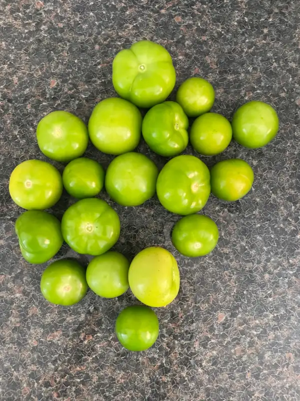 Physalis: Tomatillo