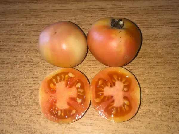 Tomaten: Tondino Rosa di Benevento