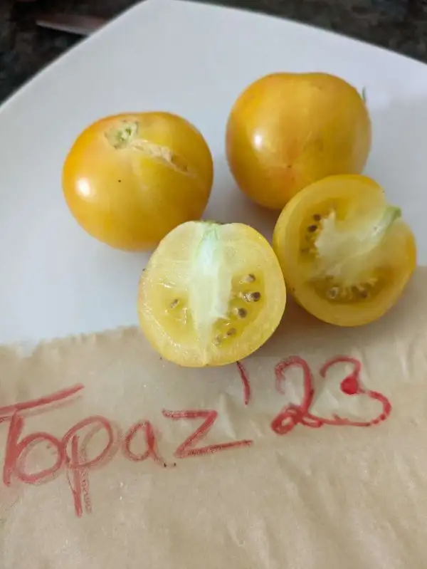 Tomaten: Topaz