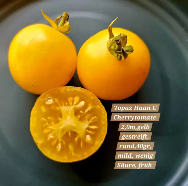 Tomaten: Topaz Huan U