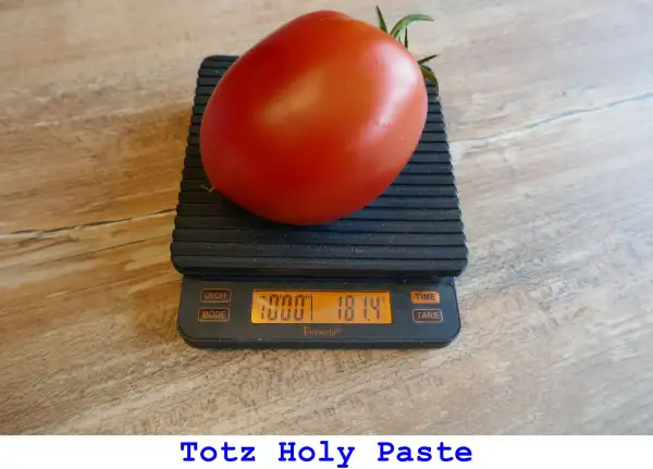 Tomaten: Totz Holy Paste