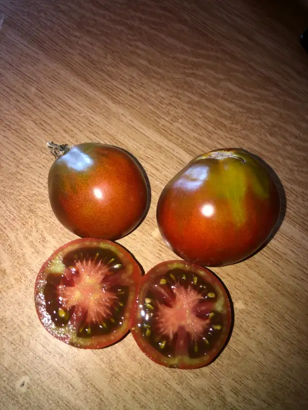 Tomaten: Trüffel Schwarze