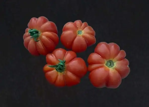 Tomaten: Tréfle du Togo