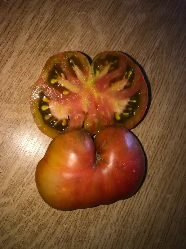 Tomaten: Tree