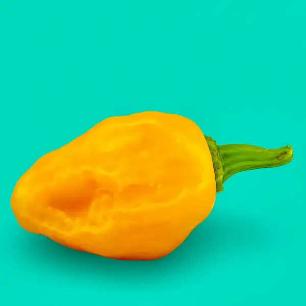 Chili / Paprika: Trinidad Perfume