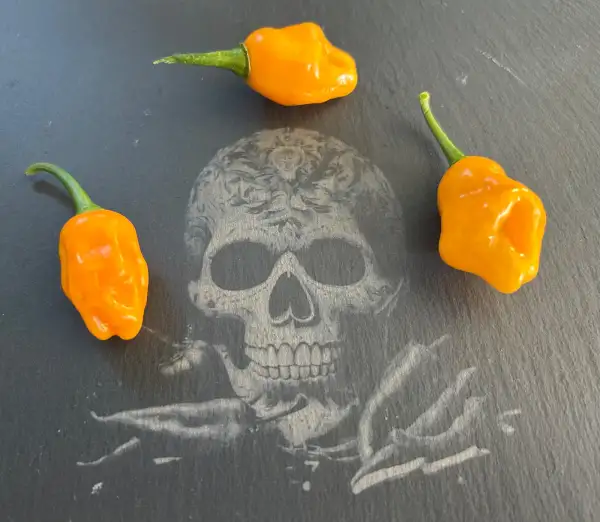 Chili: Trinidad Perfume