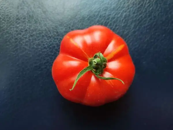 Tomaten: Triomphe de Liège