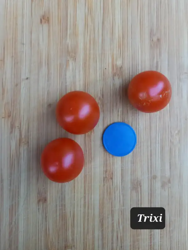 Tomaten: Trixi 2023