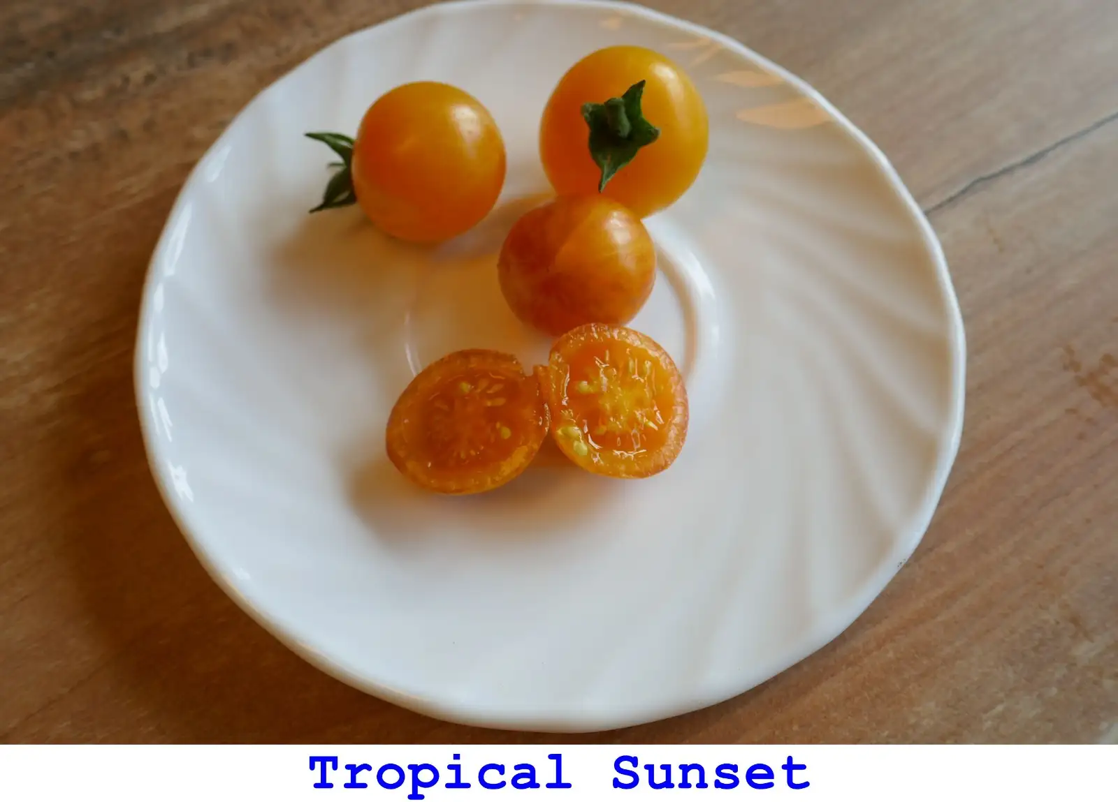 Tomaten: Tropical Sunset