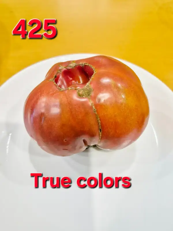 Tomaten: True Colors