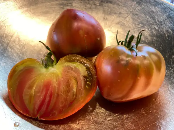 Tomaten: True Colors