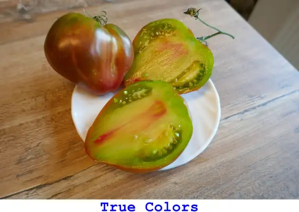 Tomaten: True Colours