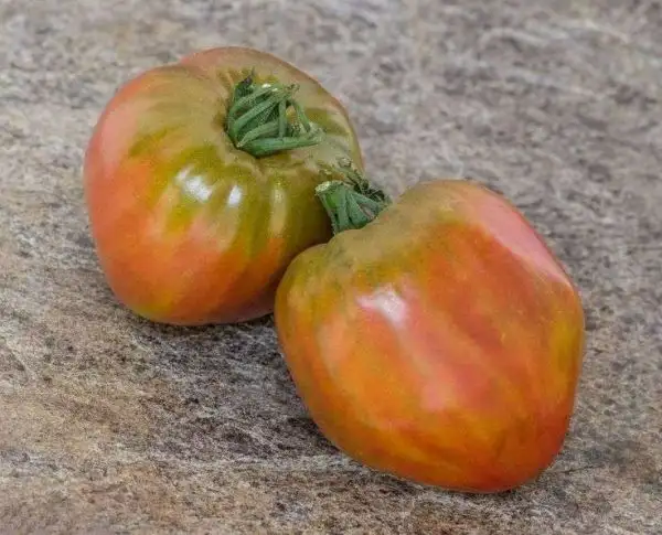 Tomaten: True Colours