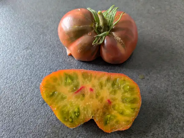 Tomaten: True Colours