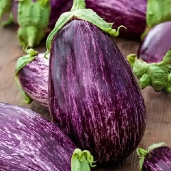 Auberginen: Tsakoniki