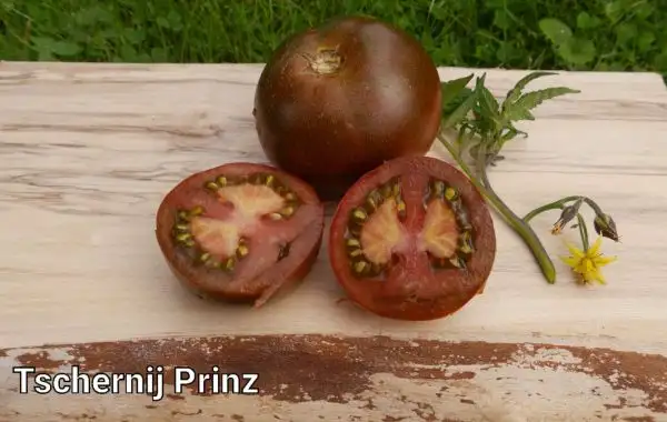 Tomaten: Tschenij Prinz