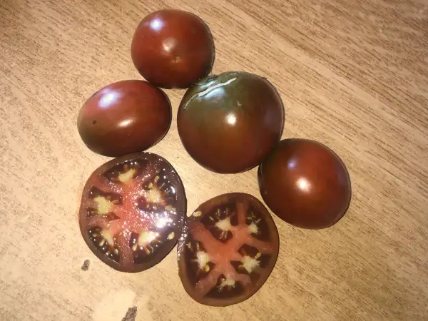 Tomaten: Tschernaja Svetlana
