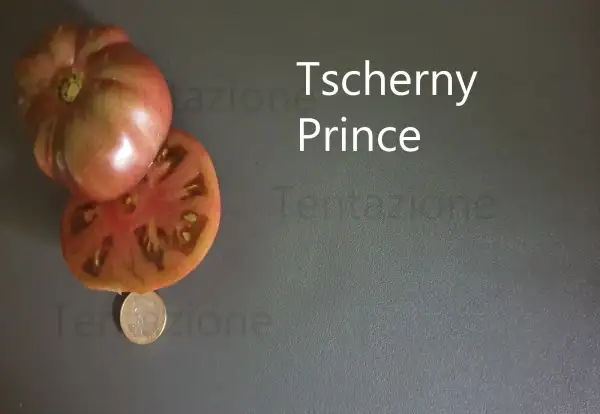 Tomaten: Tschernij Prince