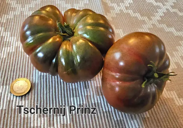 Tomaten: Tschernij Prinz