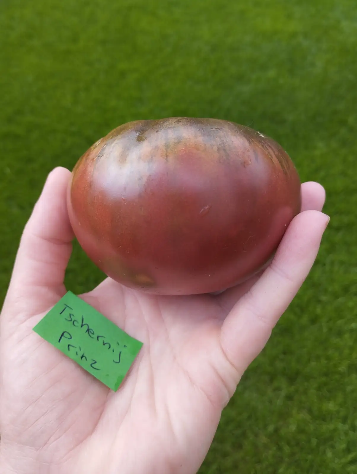 Tomaten: Tschernij Prinz