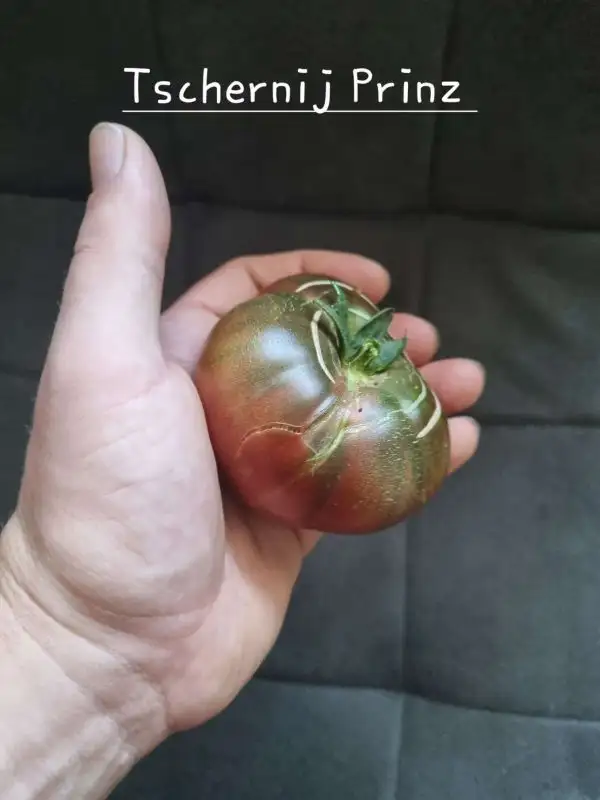 Tomaten: Tschernij Prinz