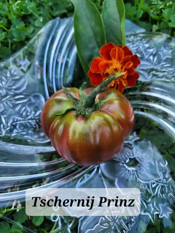 Tomaten: Tschernij Prinz