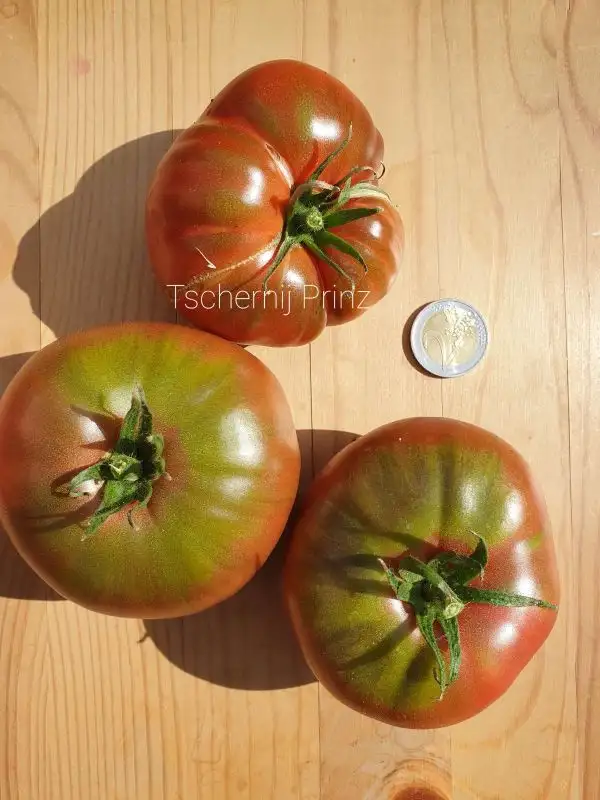 Tomaten: Tschernij Prinz