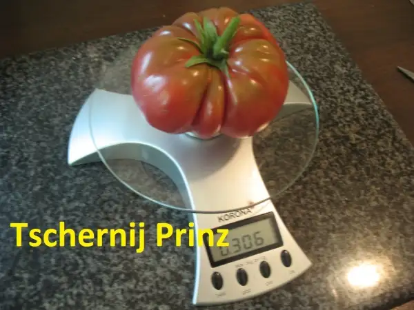 Tomaten: Tschernij Prinz