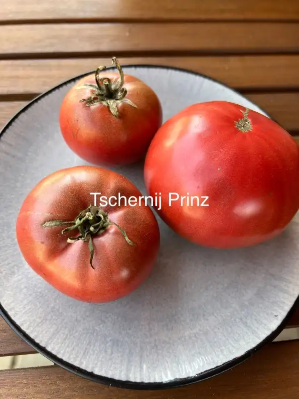 Tomaten: Tschernij Prinz