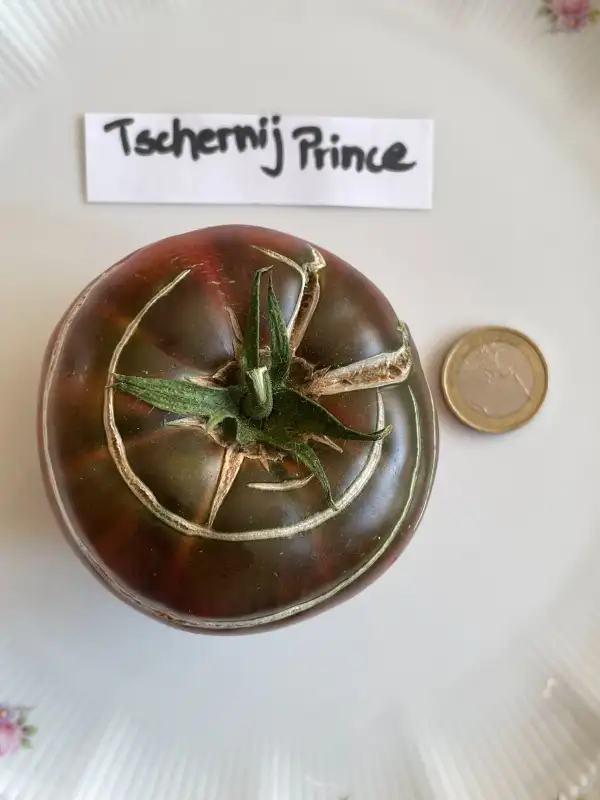 Tomaten: Tschernij Prinz (Schwarzer Prinz)