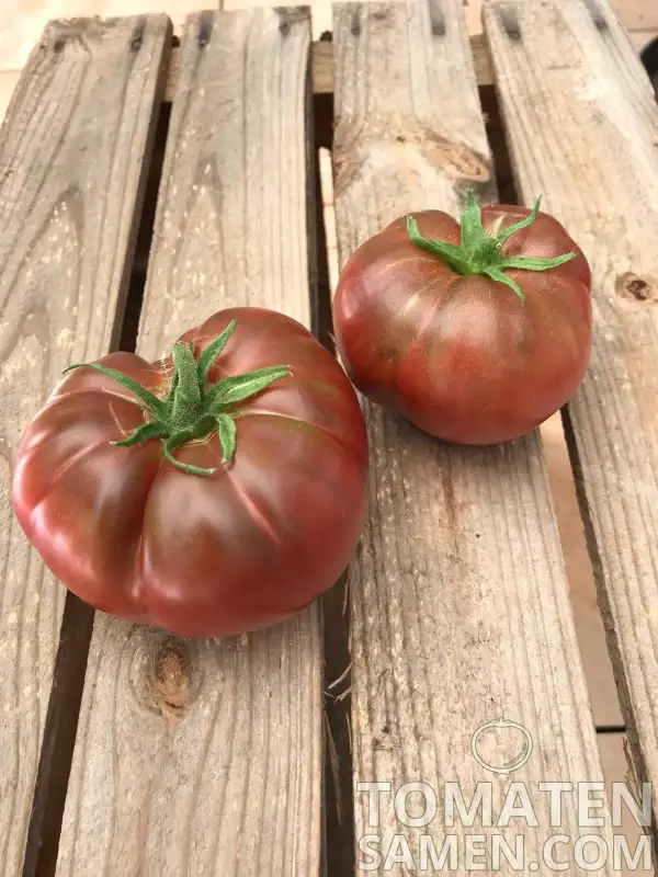 Tomaten: Tschernij Prinz/ Schwarzer Prinz
