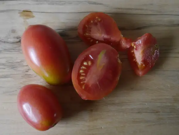 Tomaten: Tschio Tschio San