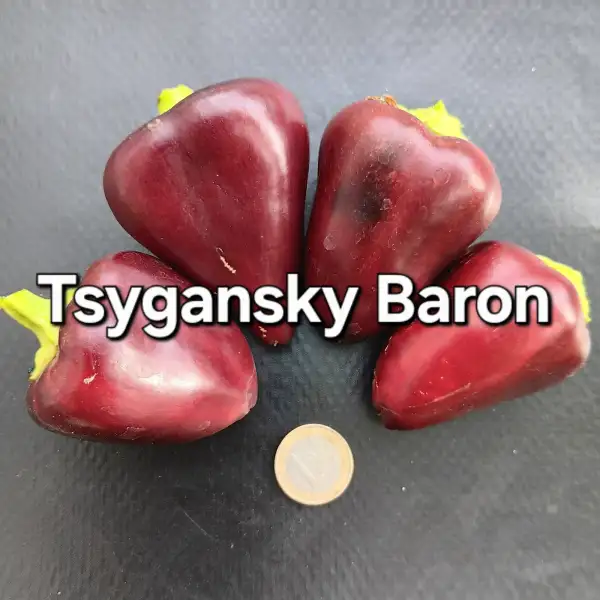 Paprika: Tsygansky Baron