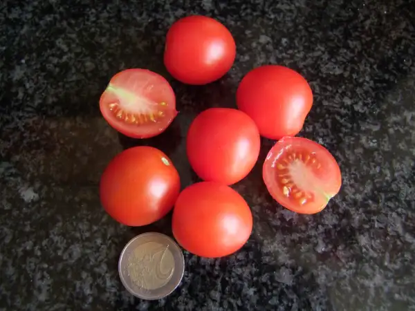Tomaten: Tumbler