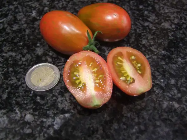 Tomaten: Tumbling Tiger - Buschtomate