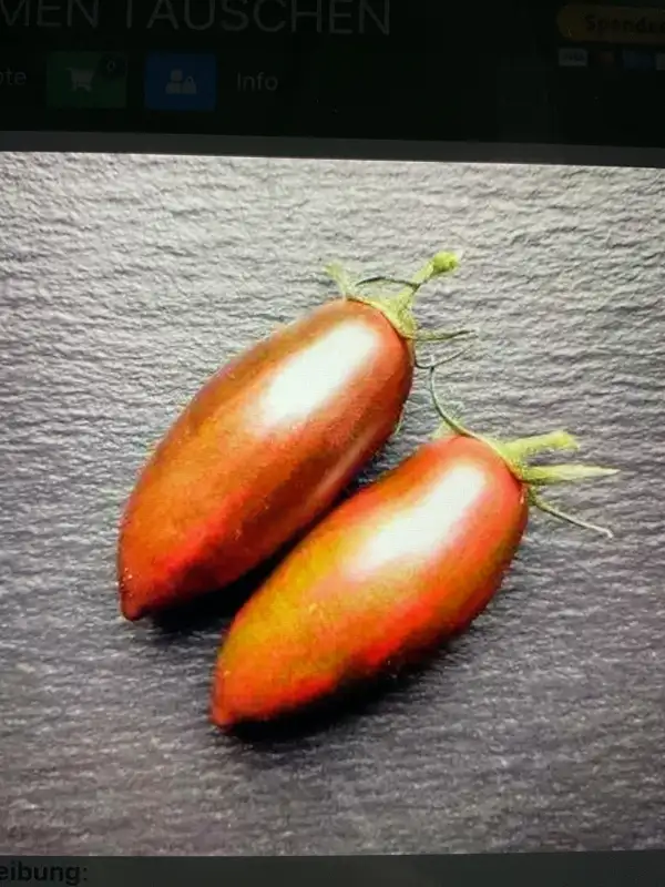 Tomaten: Tumbling Tiger